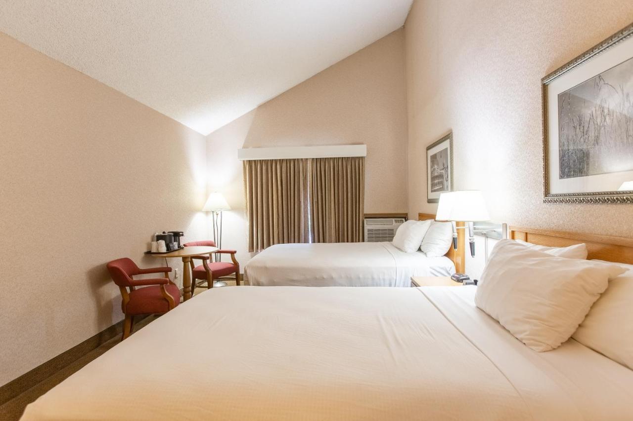 Hotel Rivertree & 3*